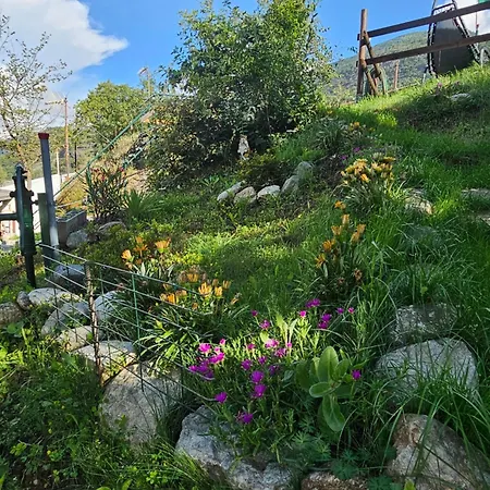 Agrihouseross Mattie