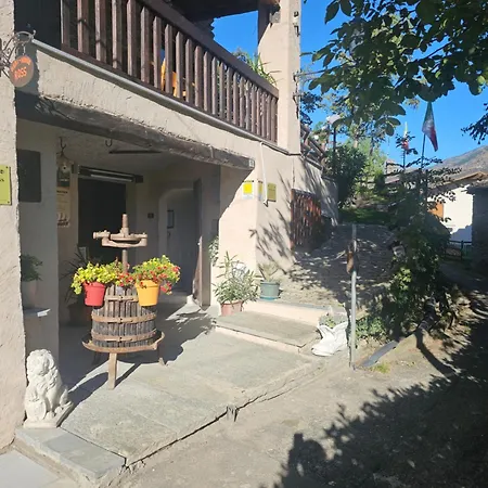 Agrihouseross Mattie