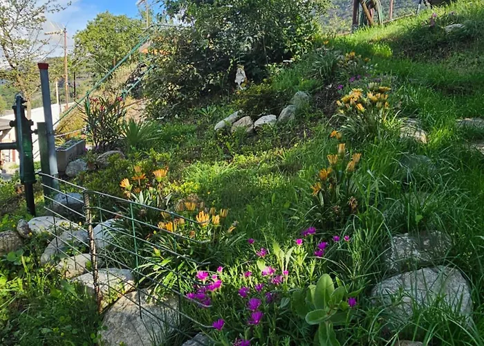 Agrihouseross Mattie